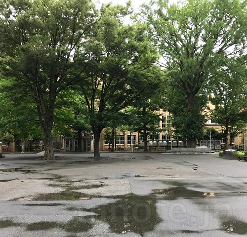 雨上がりの三田オキャンパス